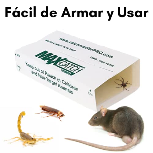 Recopilación y reviews de Trampa de pegamento para raton Top cinco. 13 Imagen adicional