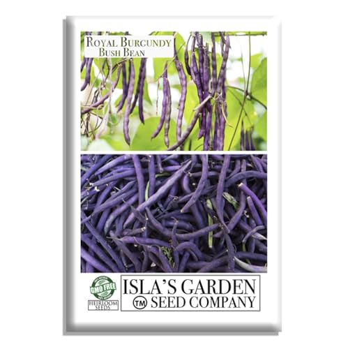 Royal Burgundy Bush Bean Seeds (Phaseolus vulgaris) – 50+ Non-GMO