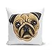 Kissen Kissenbezug 40x40 cm Mops Pug Kleiner Hund Zeichnung Kunst Niedlich