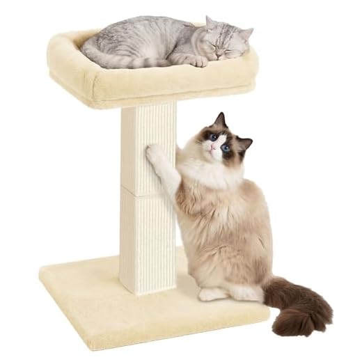 AGYM 32” Cat Scratching Post