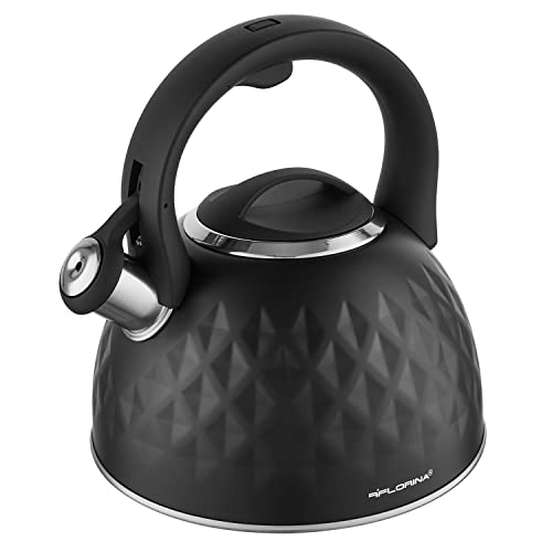 FLORINA Fenny Satin Tetera con Silbato 2,5 L, Diseño Moderno, Hervidor de Agua, Inducción, Vitrocerámica, Todo Tipo de Cocinas, Acero Inoxidable Satinado, 5C0225