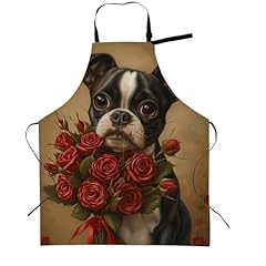 Boston Terrier 01