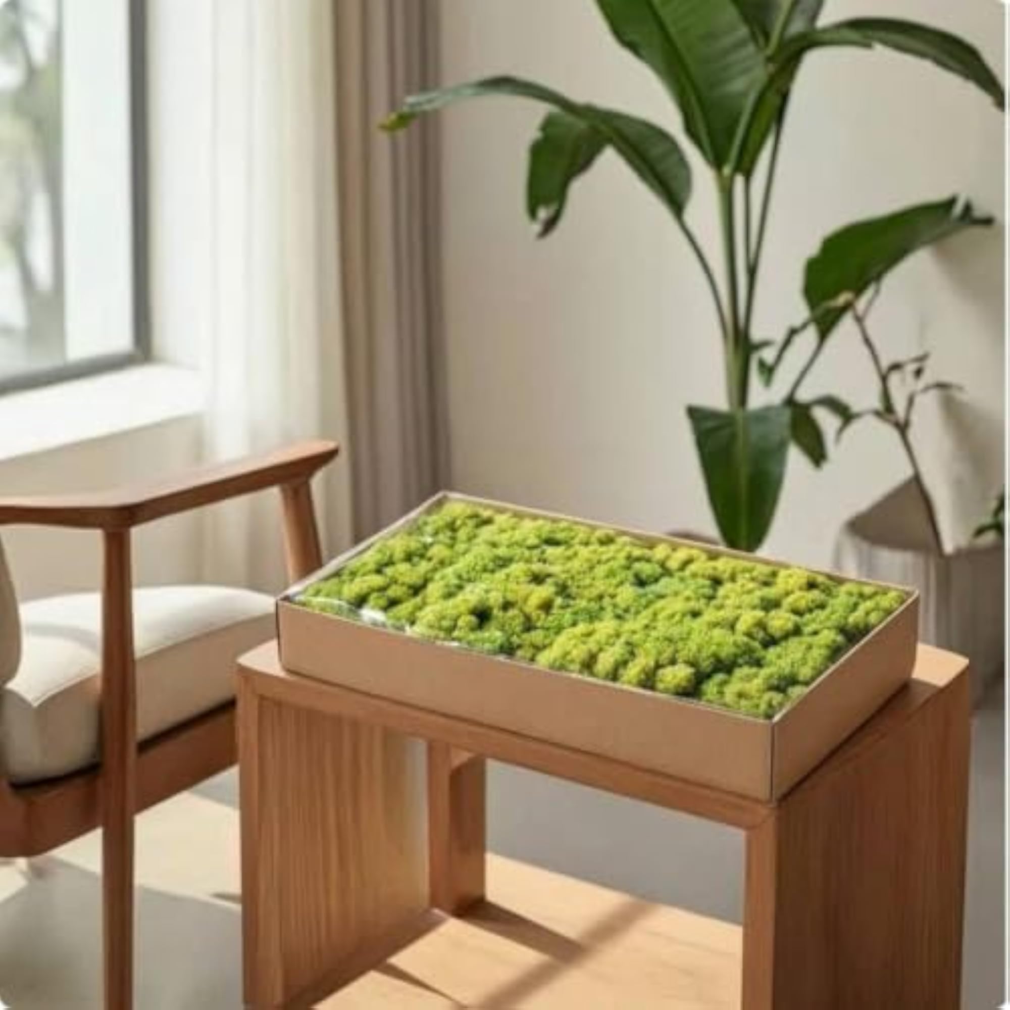 Natural-Looking Preserved Foliage Decorative Plants for Home Decor