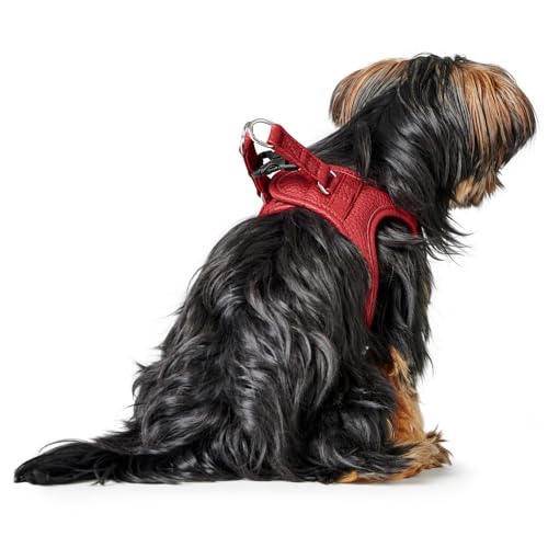 Hunter Hundegeschirr Love, Farbe: rot, weiches Rindsleder, atmungsaktive Mesh-Polsterung, Herz handgenäht, hoher Komfort, Made in Germany, Größe: XS-S