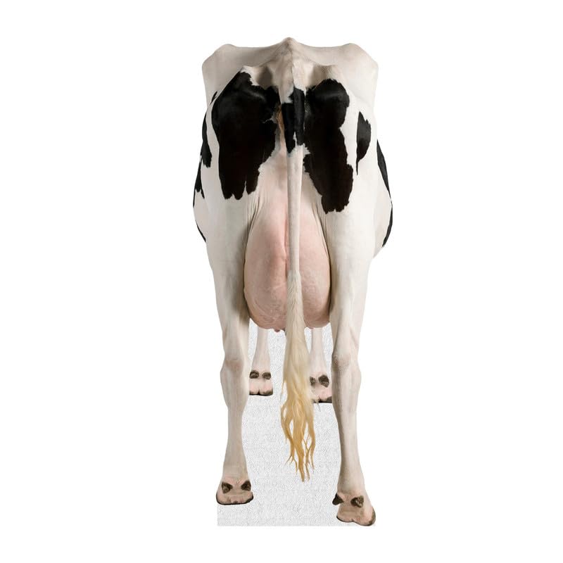 Dairy Cow - Life Size Cardboard Cutout Standup People with Support Standee | Animals -1