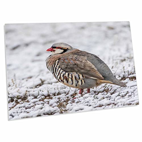 3dRose Utah Antelope Island Desk Pad 58x40 cm miniatura 1