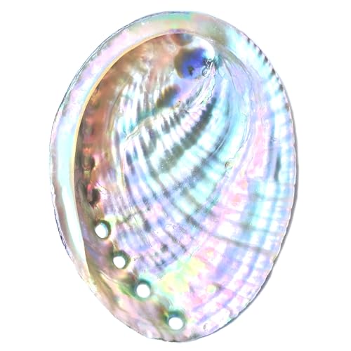 1 Piece Striped Abalone Shell Abalone Shell Bowl 4-4.5 inches Suitable for Holding Incense Small Ornaments etc. for sage Burning Holding Incense sage Tray (Black)