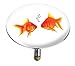 Produktbild Wenko 21845100 Badewannenstöpsel Pluggy XXL Fishes, Abfluss-Stopfen, für alle handelsüblichen Abflüsse, Kunststoff, 7,5cm x 7,5cm x 6cm, mehrfarbig
