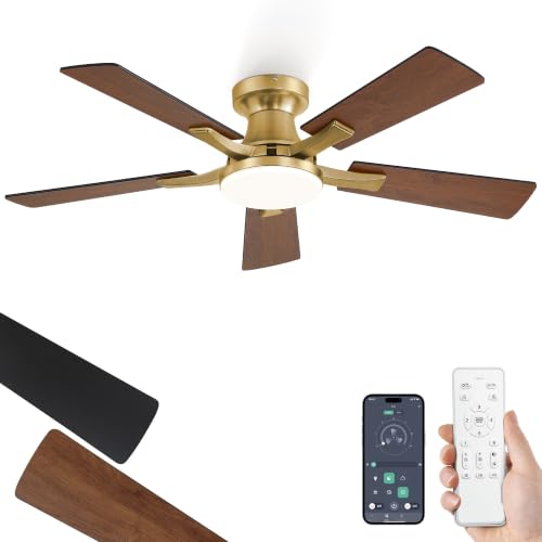 Image of ZMISHIBO 42 Inch Ceiling Fans with Lights, Remote&App Control, Flush Mount | Low Profile, Dimmable 20W LED Light, Quiet Reversible Motor, Strong Airflow, Easy Install for Bedroom /Living Room /Apt, Gold