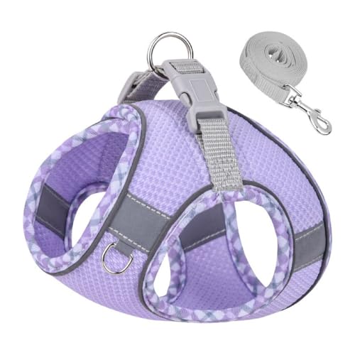 grooblue  n[lX [hZbg ^ ^ Lp ʋCbV Ȃ y EȒP h~ ˕t  Up 킢  (p[v`FbN S)