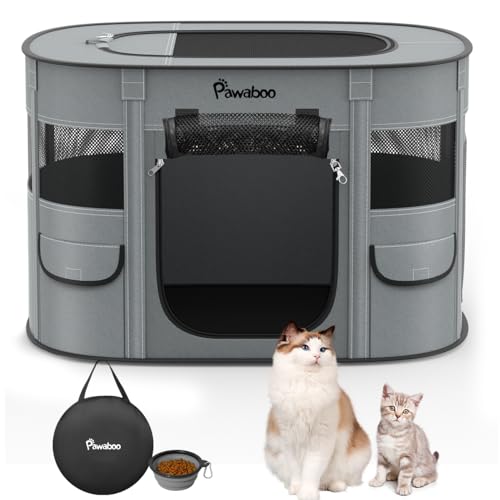 pvCT[NA|[^uybgLxr[yA600DIbNXtH[hegN[gAh&ʋCAOsLv^/^pL[P[X+܂肽݃{E(M)A`R[O[