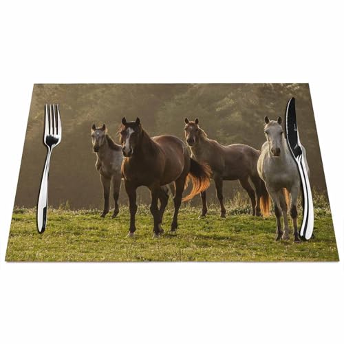 Walmsco Lot de 10,5 x 45,7 cm - Motif chevaux sur la prairie - Décoration pour table de cuisine - Imperméables - Antidérapants - Lavables - Résistants à la chaleur