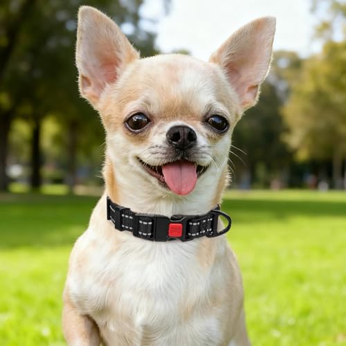 Image of Taglory Reflective Dog Collar for Puppies, Gentle and Safe for Night Walks