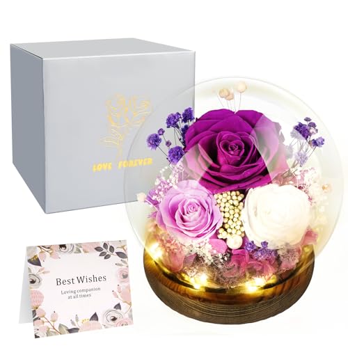 Hossom Rosa Eterna Natural Preservada con Cupula Cristal y Luz   Flores Preservadas para Regalo de Cumpleaños, Aniversario y Día de la Madre   Sin Mantenimiento, para Madre, Esposa, Novia y Abuela