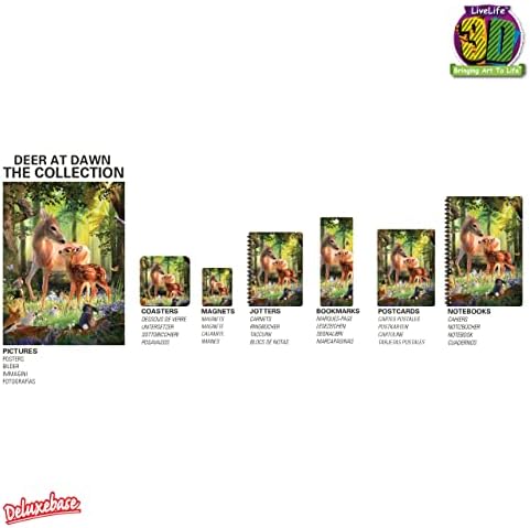 3D LiveLife A5 Plain Recycled Paper Notebook - Kitten Fun Time from Deluxebase. 80 Page Lenticular 3D Cat Notebook. School/Office Stationery with Artwork Licensed from Renowned Artist Michael Searle