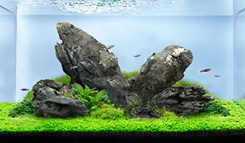 Image of LANDEN Seiryu Stones Natural Rocks (17lbs, 3~11 inches,7-8pcs) for Aquarium, Paludarium, Terrariums, Landscaping Rocks, Aquascaping