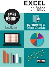 Download Excel en fiches : Niveau débutant PDF
