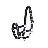 fohlenhalfter shetty Qualitätshalfter aus reissfestem Gurtband