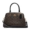 Coach Mini Lillie Carryall In Signature Canvas (Brown,black)