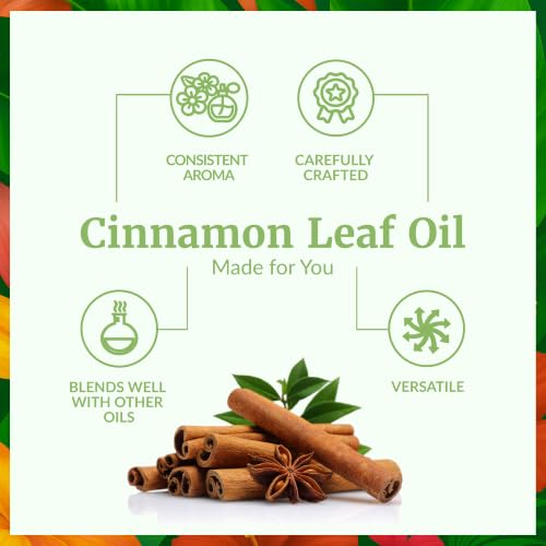 Image of SVA Cinnamon Leaf Essential Oil 4 Fl Oz - for Diffuser, Skin & Hair Care - Ideal for Massage & DIY Blends - with Dropper