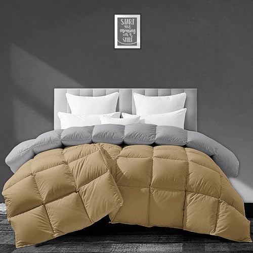 Image of Luxurious 500 GSM Winter Comforter Double Bed Size (90 inchX100 inch) - Premium Collection Heavy Winter Comforter 500 GSM Microfiber Fill - Duvet /Blanket Double Bed - Beige /Silver Grey Color