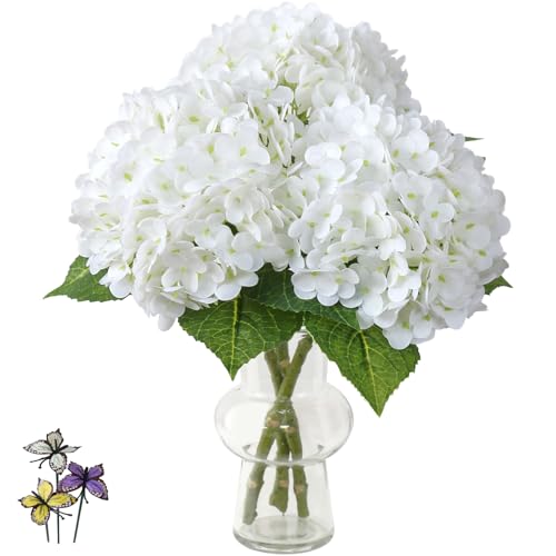 Leftover White Hydrangea 3Pcs