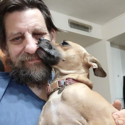 Episode 213: "Eyewitness Testimony"