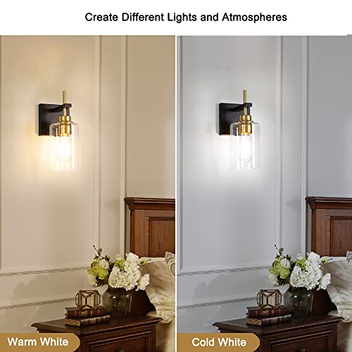 Dsmjfu Modern Bathroom Vanity Lights,Black And Gold Wall Sconce,Bathroom Wall Light Fixture With Thicker Glass Shade For Mirror Bedroom Living Room Hallway Cabinet Porch #TOP5