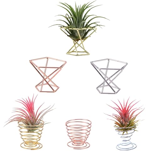 Reicyfang 6 PCS Geometric Air Plant Holder Airplants Rack Metal Plants Stand, Airplant Stand Container Tillandsia Stainless Steel Display Racks, Wire Metal Plants Stand Planter Shelves