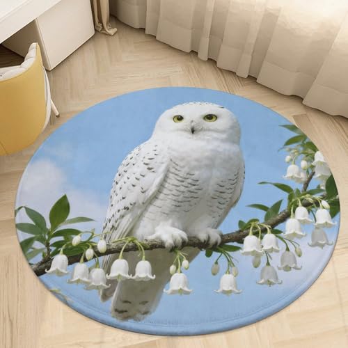�v���b�V�� �R�[���� �x���x�b�g ���E���h �G���A���O 2�t�B�[�g �ɔ� 0.5 cm �z���C�g �X�m�[�E�B�[ �t�N���E �t���A�}�b�g ����~�� TPR �o�b�L���O ���[�p�C�� ����\ �E�F���J���t�����g�h�A�}�b�g �Q�� ���֑���