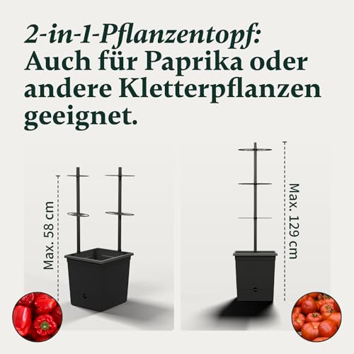 Tomatentopf Verdoba mit Rankhilfe und 3,5L Wasserspeicher