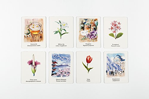 Pick a Flower: A Memory Game - Image 4