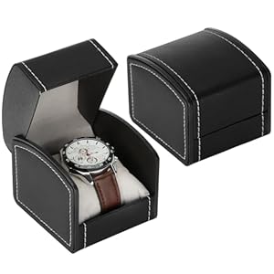 BAOPEND Luxury Single Watch Gift Bo...