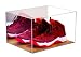Deluxe Acrylic Basketball Shoe Display Case with UV Protection with Wood Floor with Mirror (A025)