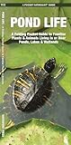 Pond Life: A Folding Pocket Guide to Familiar Plants & Animals Living in or Near Ponds, Lakes & Wetlands (Wildlife and Nature Identification)