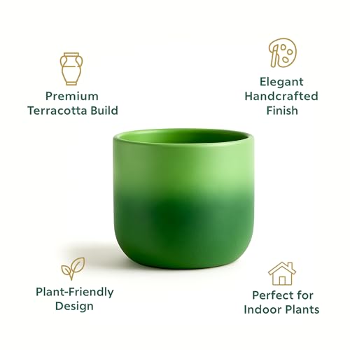 Image of Urban Plant Terracotta Pot - Trendy Planter for Modern Home & Garden Spaces (Gala Gradient Terracotta Pot - Green)