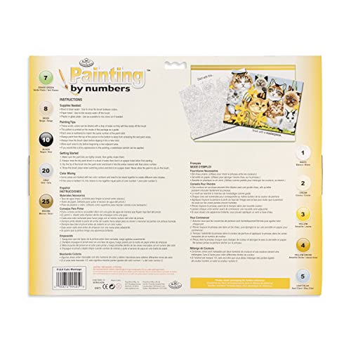 Junior Large Paint By Number Kit 15-1/4 X
