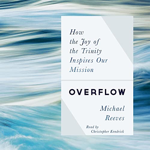 Overflow by Michael Reeves episode artwork