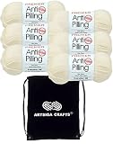Premier Yarns Anti-Pilling Everyday DK Cream 1107-02 (6-Skeins - Same Dye Lot) DK Light Worsted #3 Anti-Pilling Acrylic Yarn for Crocheting and Knitting with Project Bag