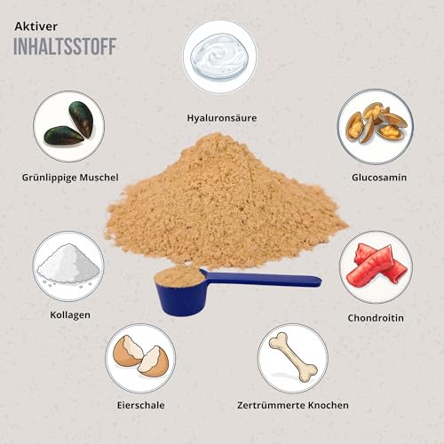 Movecare + Chondroprotektor für Hunde, 300 g, Gelenkpulver für Hunde, grüne Muscheln, Glucosamin, Chondroitin und Hyaluronsäure, Kondoprotektoren für Hunde für die Gesundheit des Gelenks