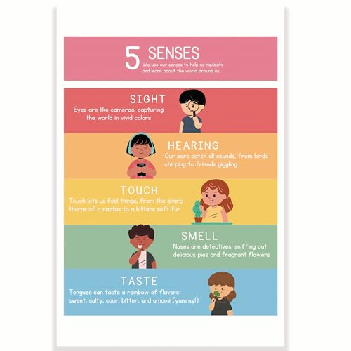 Printlabz Poster 5 Senses Classroom – Diagramma 5 Senses – 30,5 x 45,7 cm – Decorazione per aula – CPS0550