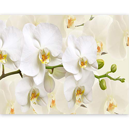 Fotomurales Decorativos Pared 3D Modernos Marca murando