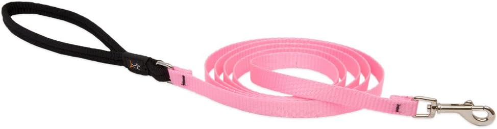 LupinePet Basics 1/2" Pink 6-foot Padded Handle Leash for Small Pets