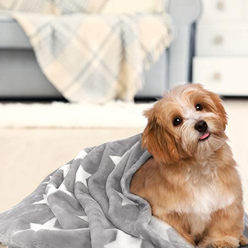 Hyseas Flannel Fleece Star Throw Blanket Grey - Soft Plush Cozy Fuzzy Microfiber Blanket For Couch, Bed, Chair, Sofa - All Seasons Lightweight - 50X60 Inch #TOP7