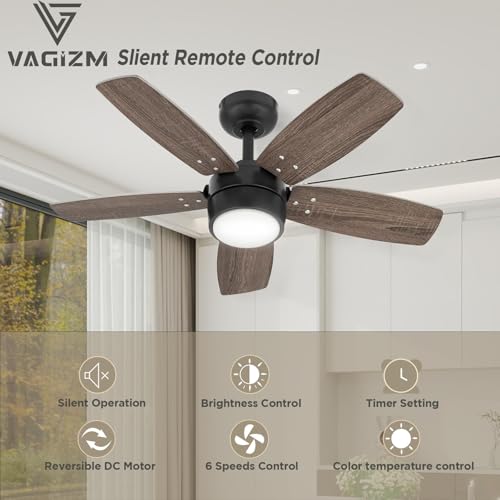 Vagizm Modern Ceiling Fan thumbnail 2