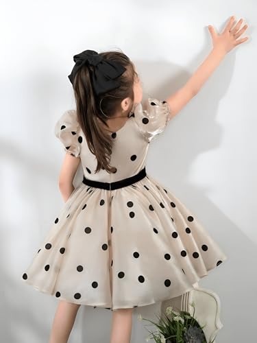Image of Captivating Polka Dot Printed Baby Frock, Elegant Organza Cotton Puff Sleeve Kids Dress with Peter Pan Collar Celebrations & Style.