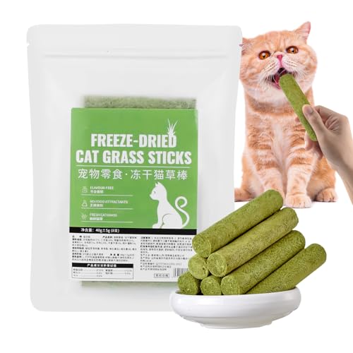 Bocadillos de hierba para gatos, mordedor de hierba para gatos, 8 palitos para gatos, golosinas de limpieza de dientes con sabor para mantener al gato enérgico