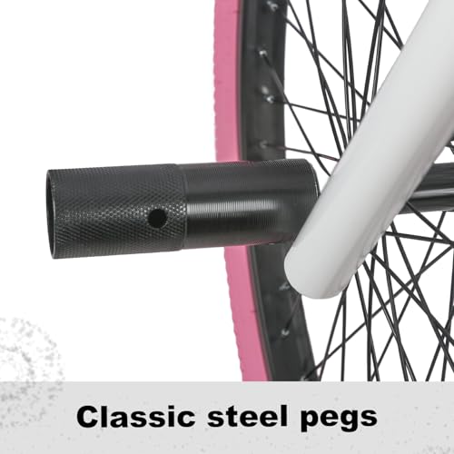 20 24 Inch Beginner BMX Bike Echo, High Tensile Steel Frame,