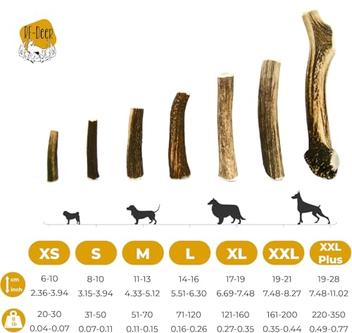 RF-Deer Hundesnack Rothirsch Geweih Kausnack - XXL Hard Plus, Hirschgeweih für Hunde, 100% Natürlicher, Kauspielzeug Hund, Hundespielzeug Kauknochen für Genuss und Zahnpflege - 1 Stück