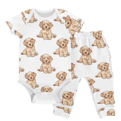 vvfelixl Baby Clothes Lovely Teddy Puppy Baby Bodysuits Set Unisex Short Sleeve Babys Pants Sets 0-3M